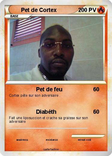 Pokemon Pet de Cortex
