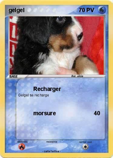 Pokemon gelgel