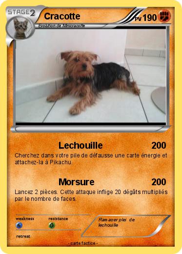 Pokemon Cracotte