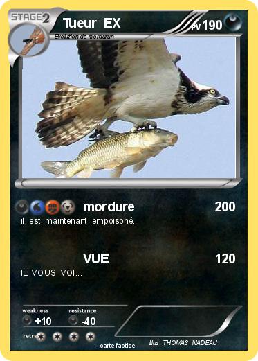 Pokemon Tueur  EX