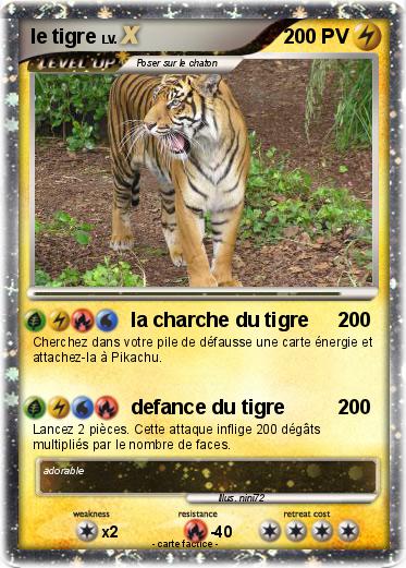 Pokemon le tigre