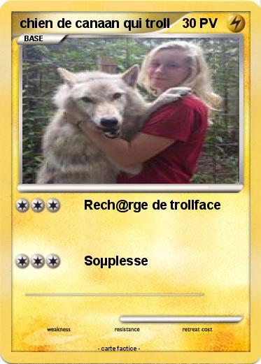Pokemon chien de canaan qui troll