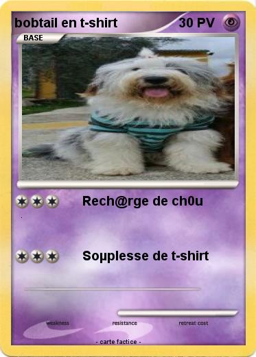 Pokemon bobtail en t-shirt