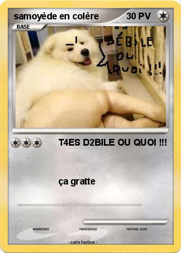 Pokemon samoyède en colère