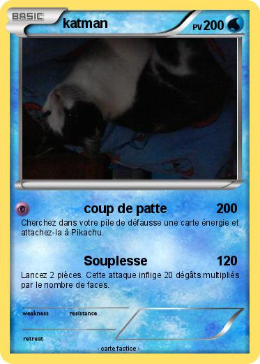Pokemon katman
