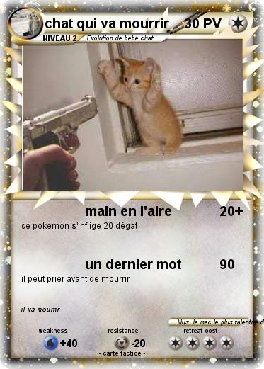Pokemon chat qui va mourrir