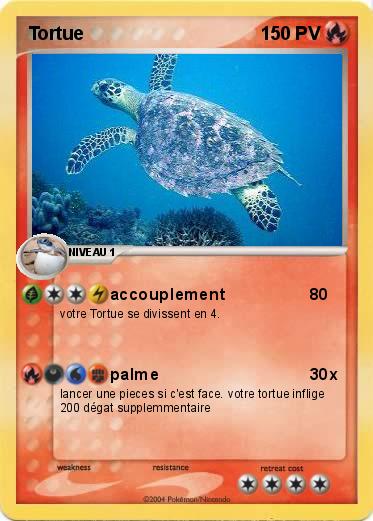 Pokemon Tortue