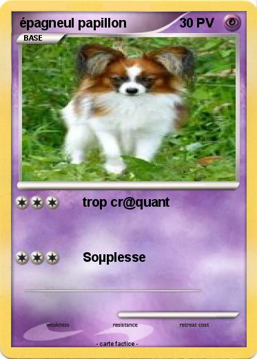 Pokemon épagneul papillon