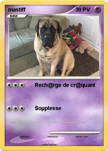 Pokemon mastiff