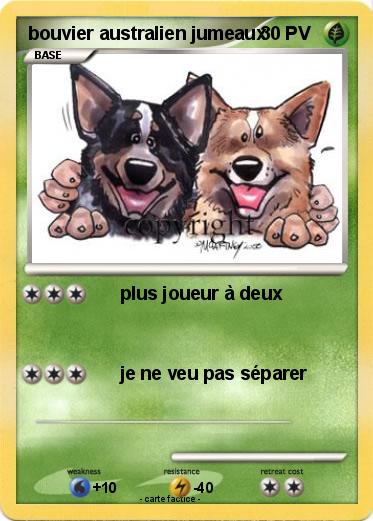 Pokemon bouvier australien jumeaux