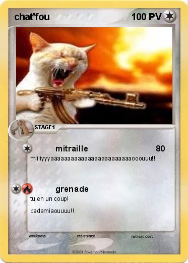 Pokemon chat'fou