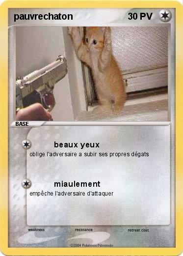 Pokemon pauvrechaton