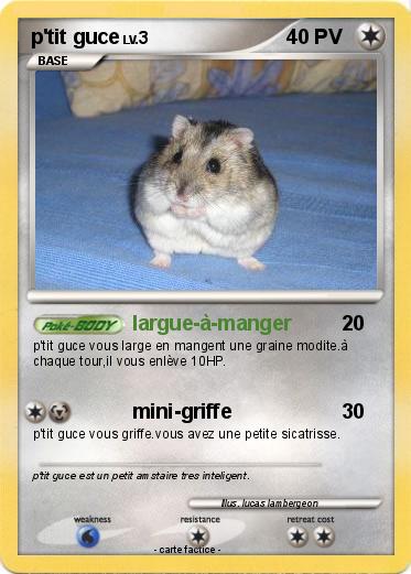 Pokemon p'tit guce