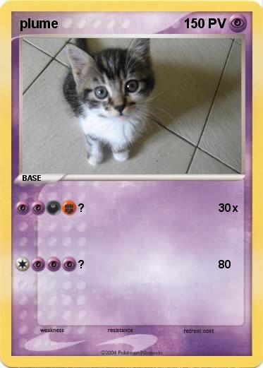 Pokemon plume 