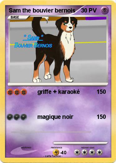Pokemon Sam the bouvier bernois