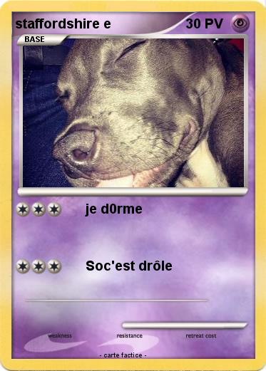 Pokemon staffordshire e