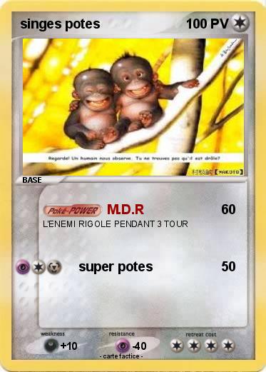 Pokemon singes potes