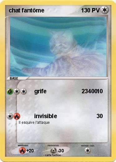 Pokemon chat fantôme