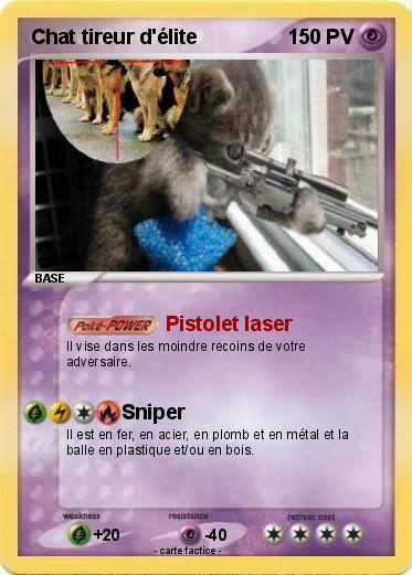 Pokemon Chat tireur d'élite