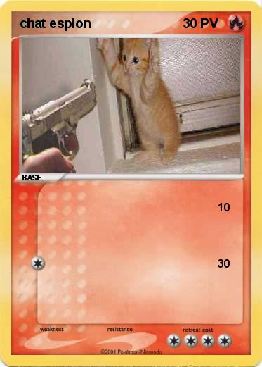 Pokemon chat espion