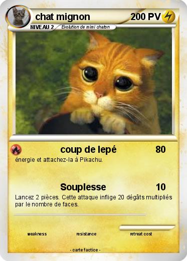 Pokemon chat mignon