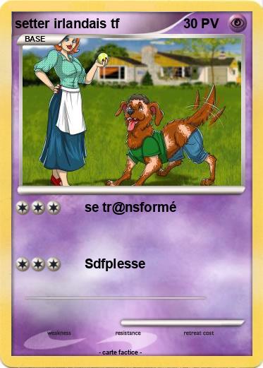 Pokemon setter irlandais tf