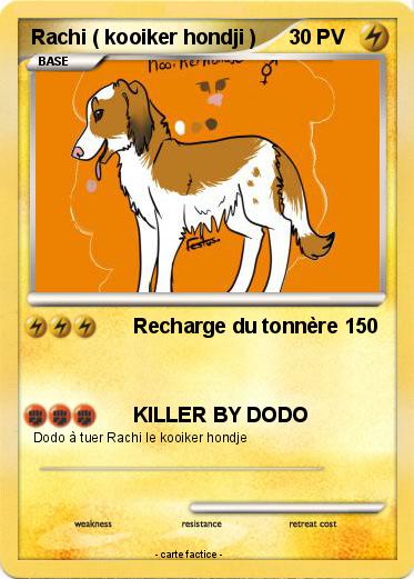Pokemon Rachi ( kooiker hondji )