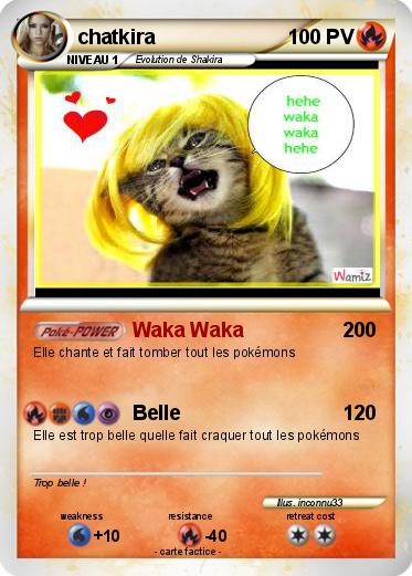 Pokemon chatkira