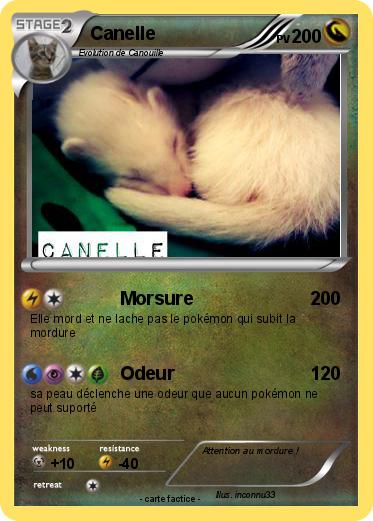 Pokemon Canelle
