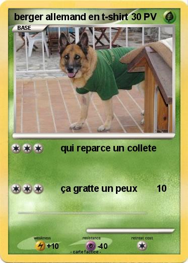 Pokemon berger allemand en t-shirt