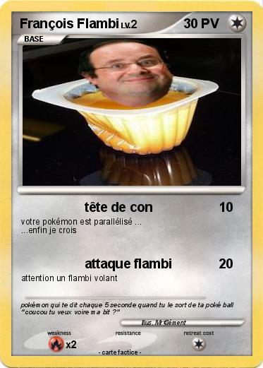 Pokemon François Flambi