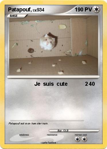 Pokemon Patapouf,
