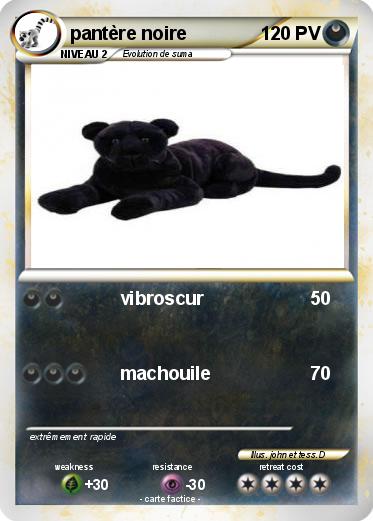 Pokemon pantère noire