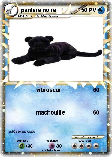 Pokemon pantère noire
