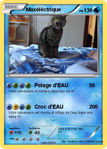 Pokemon Maxéléctrique