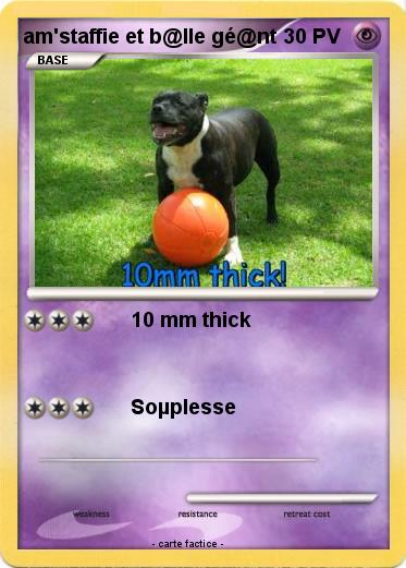 Pokemon am'staffie et b@lle gé@nt
