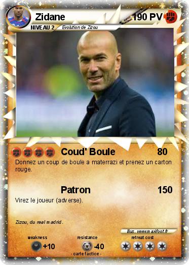 Pokemon Zidane