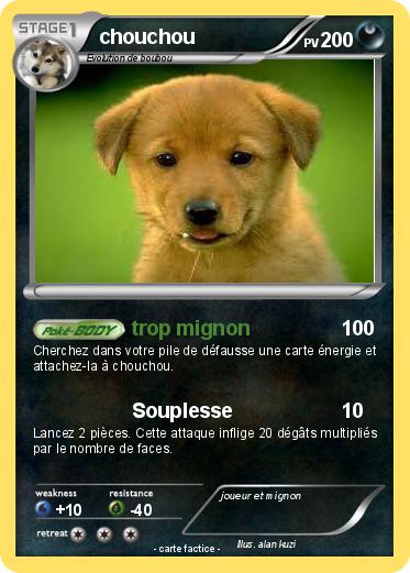Pokemon chouchou