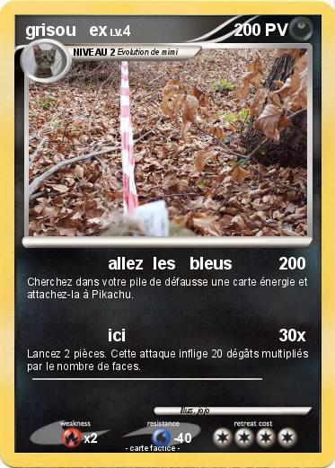 Pokemon grisou   ex