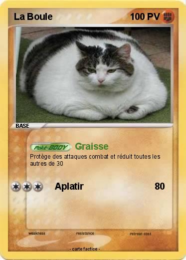 Pokemon La Boule