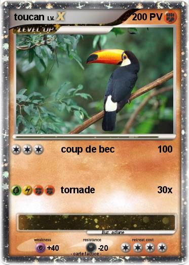 Pokemon toucan