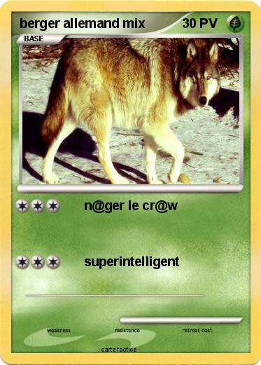 Pokemon berger allemand mix