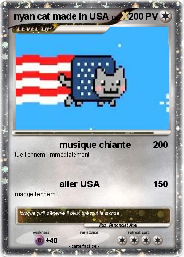 Pokemon nyan cat made in USA