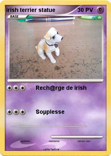 Pokemon irish terrier statue
