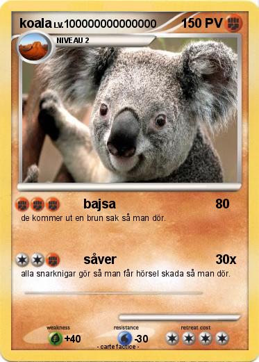 Pokemon koala