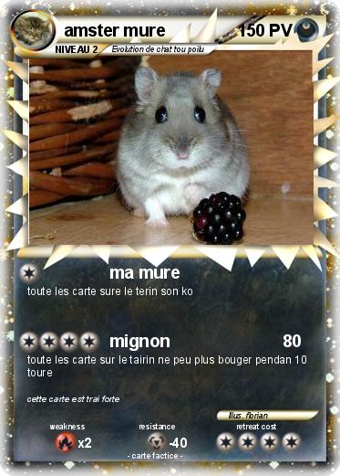Pokemon amster mure