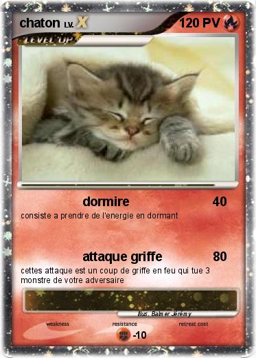 Pokemon chaton