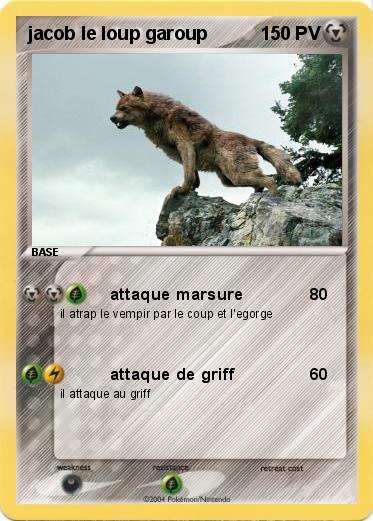Pokemon jacob le loup garoup