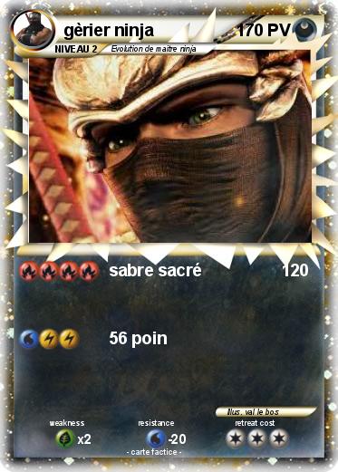 Pokemon gèrier ninja