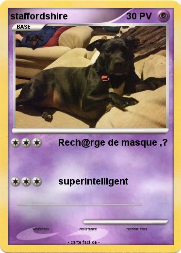 Pokemon staffordshire